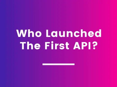 Who Launched The First API?
