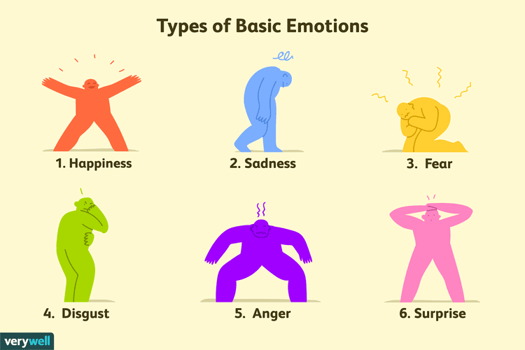 6 different emotions. Those are: happiness(joy), anger, sadness, disgust, surprise, and fear.